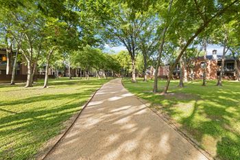 walking trail in webster apartments